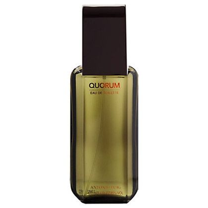 Quorum For EDT Perfume For Men 100Ml - luxeheavenlyscents